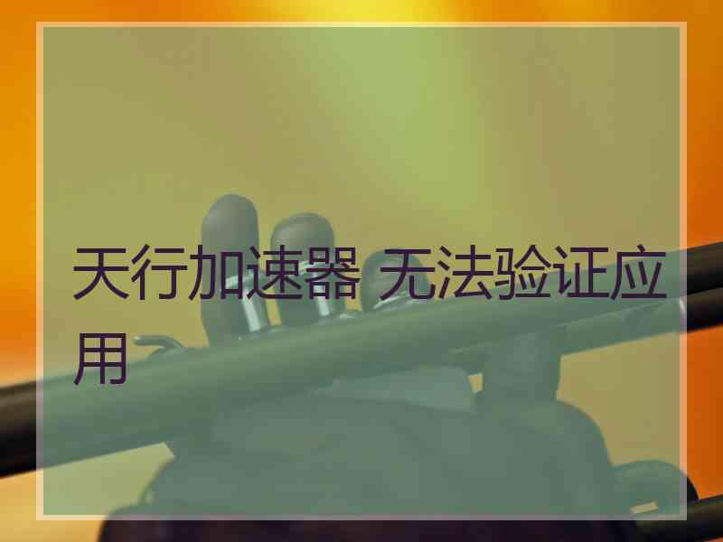 天行加速器 无法验证应用