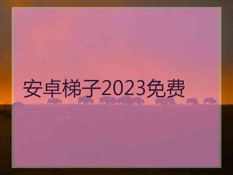 安卓梯子2023免费