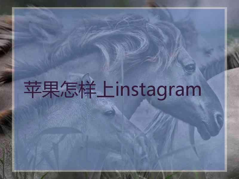 苹果怎样上instagram